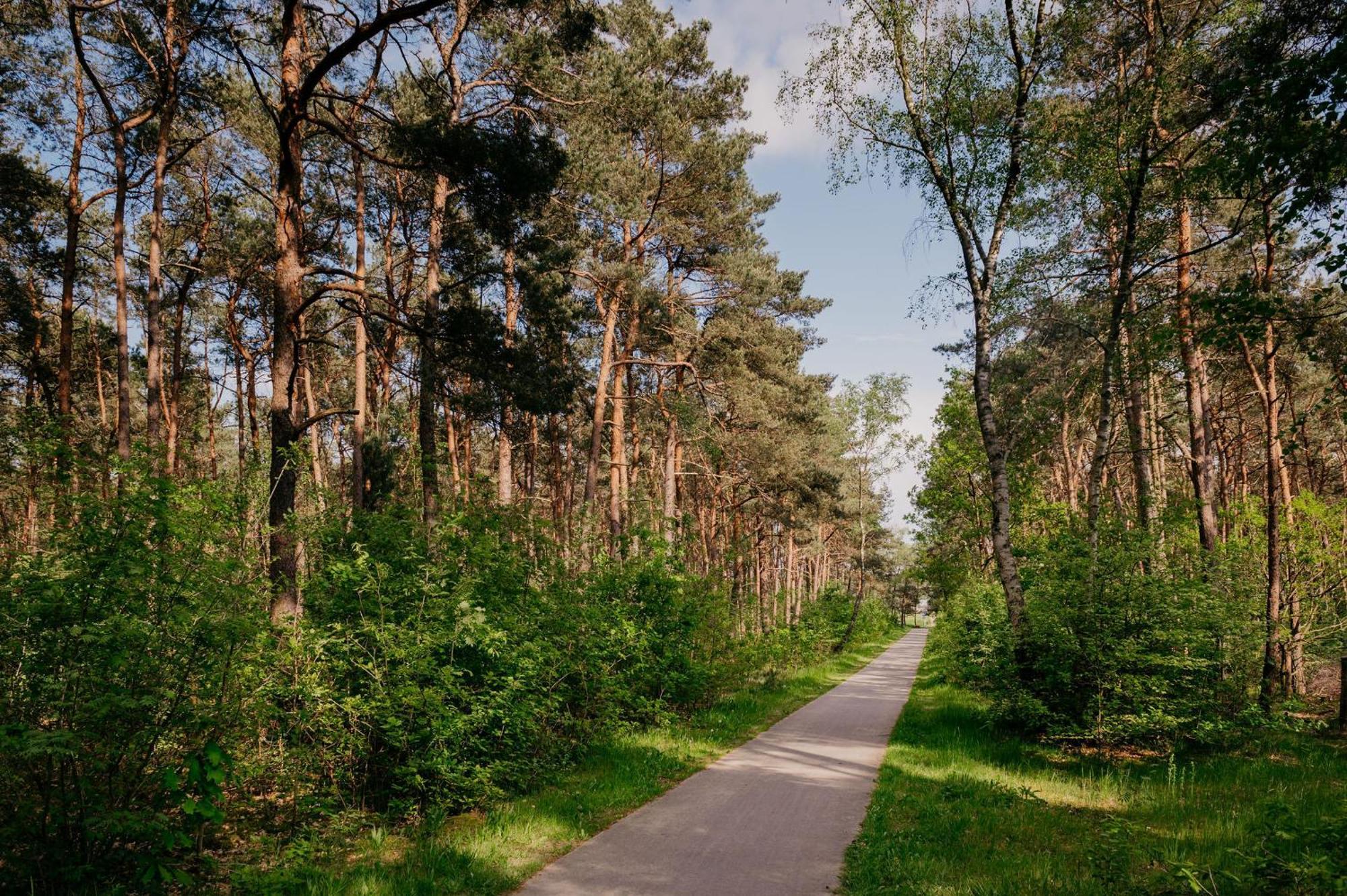Lodge Goudvink Nunspeet Veluwe Exterior foto